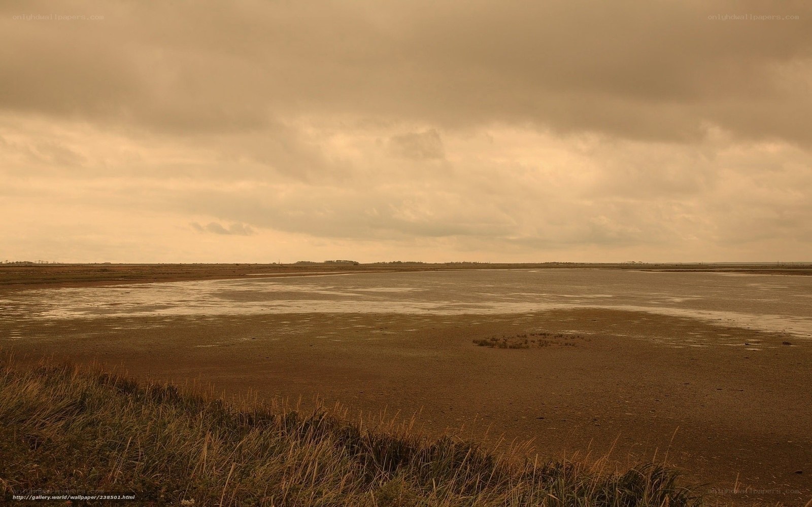 muddy tidal flats under cloudy sky