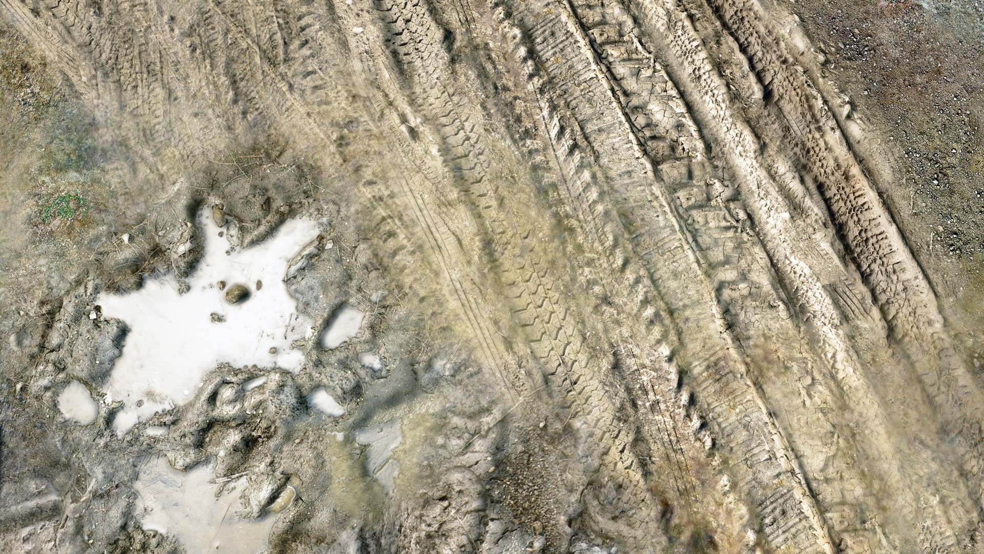 muddy tire tracks on dirt
