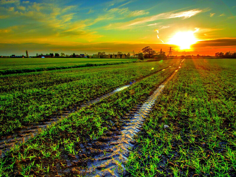 Muddy Tractor Tracks