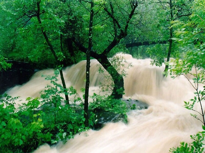 Muddy Waterfall in Forest