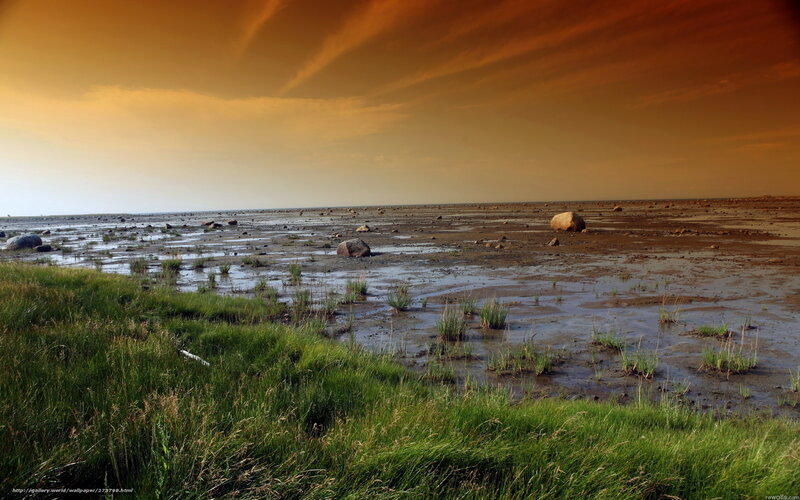 Mudflat at Sunset