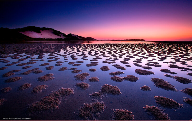 Mudflats at Sunset