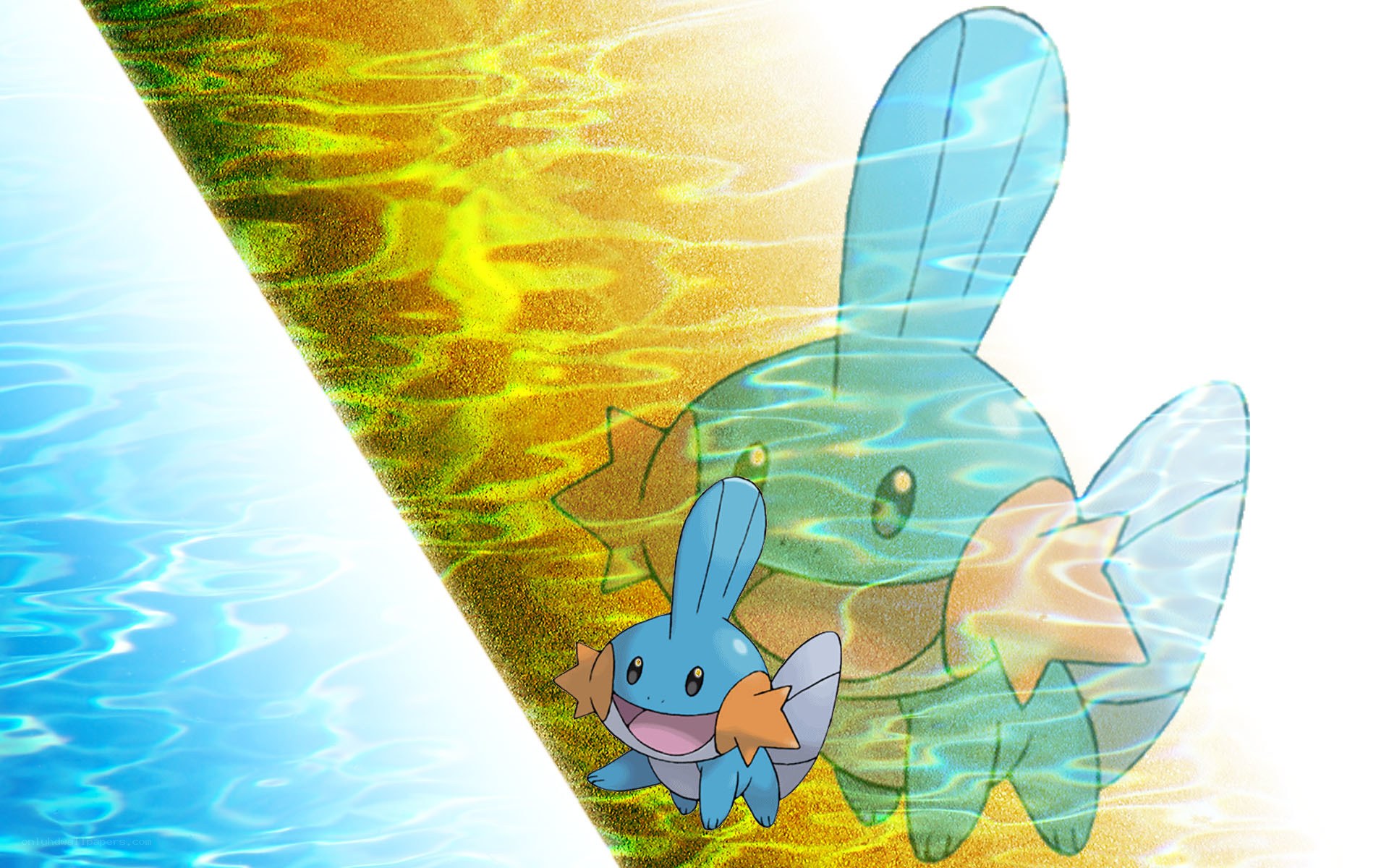 Mudkip and its reflection