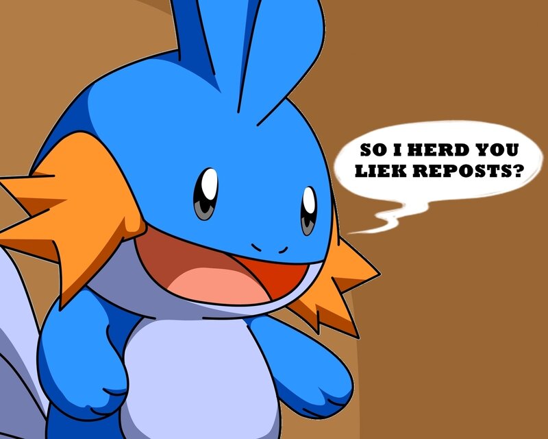 Mudkip asks about reposts