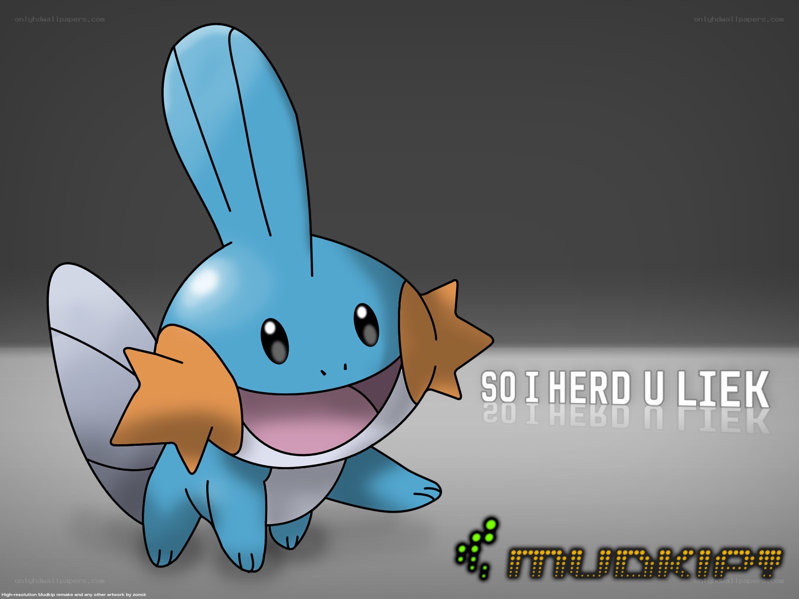 Mudkip character art