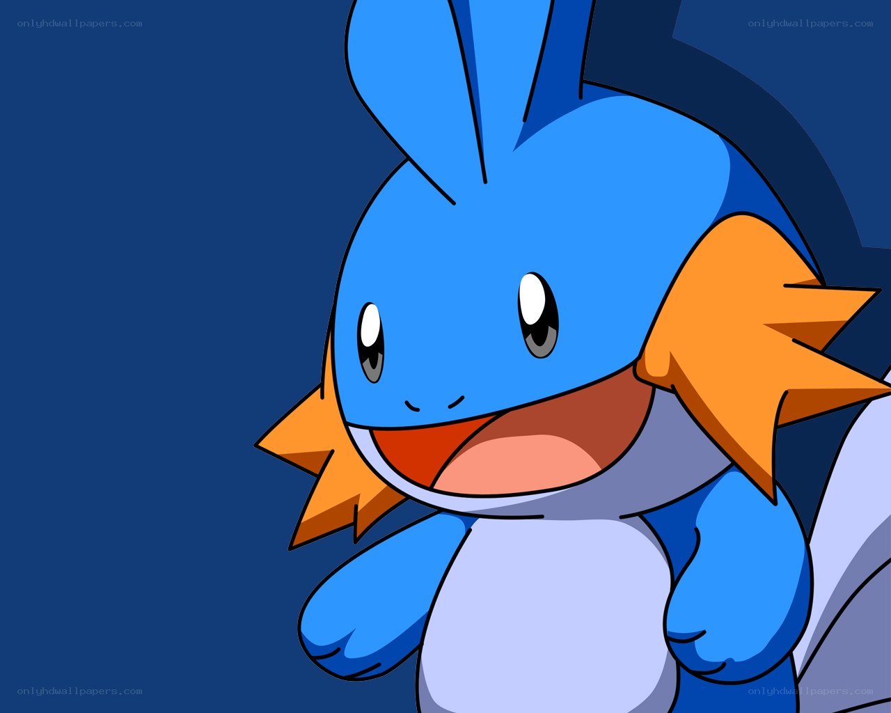 Mudkip character illustration