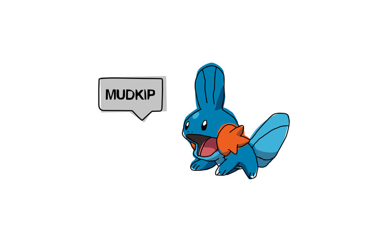 Mudkip character illustration