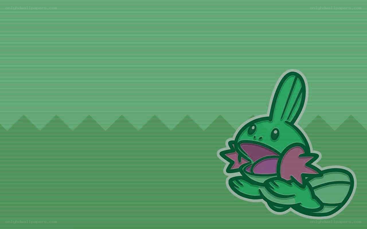 Mudkip character on green background