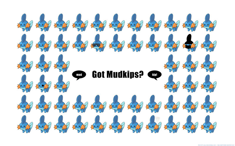 Mudkip find-the-difference