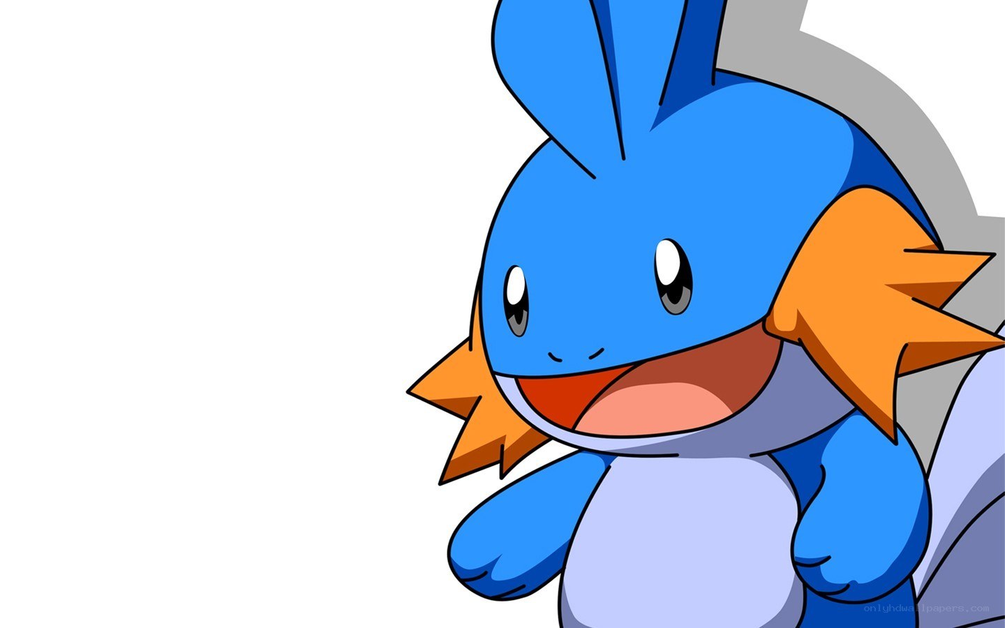 Mudkip from Pokémon