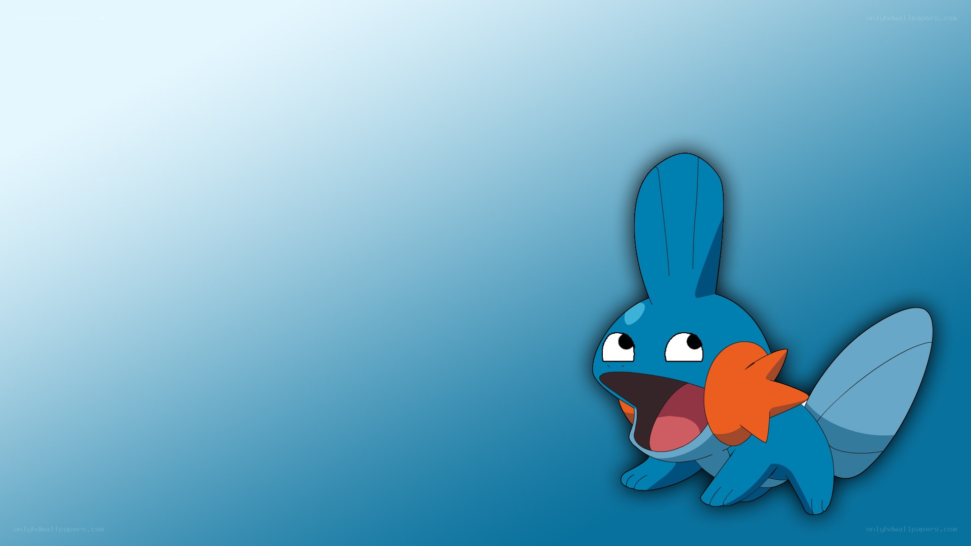 Mudkip from Pokémon