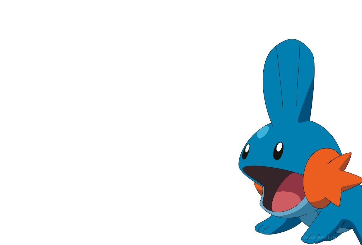 Mudkip from Pokémon