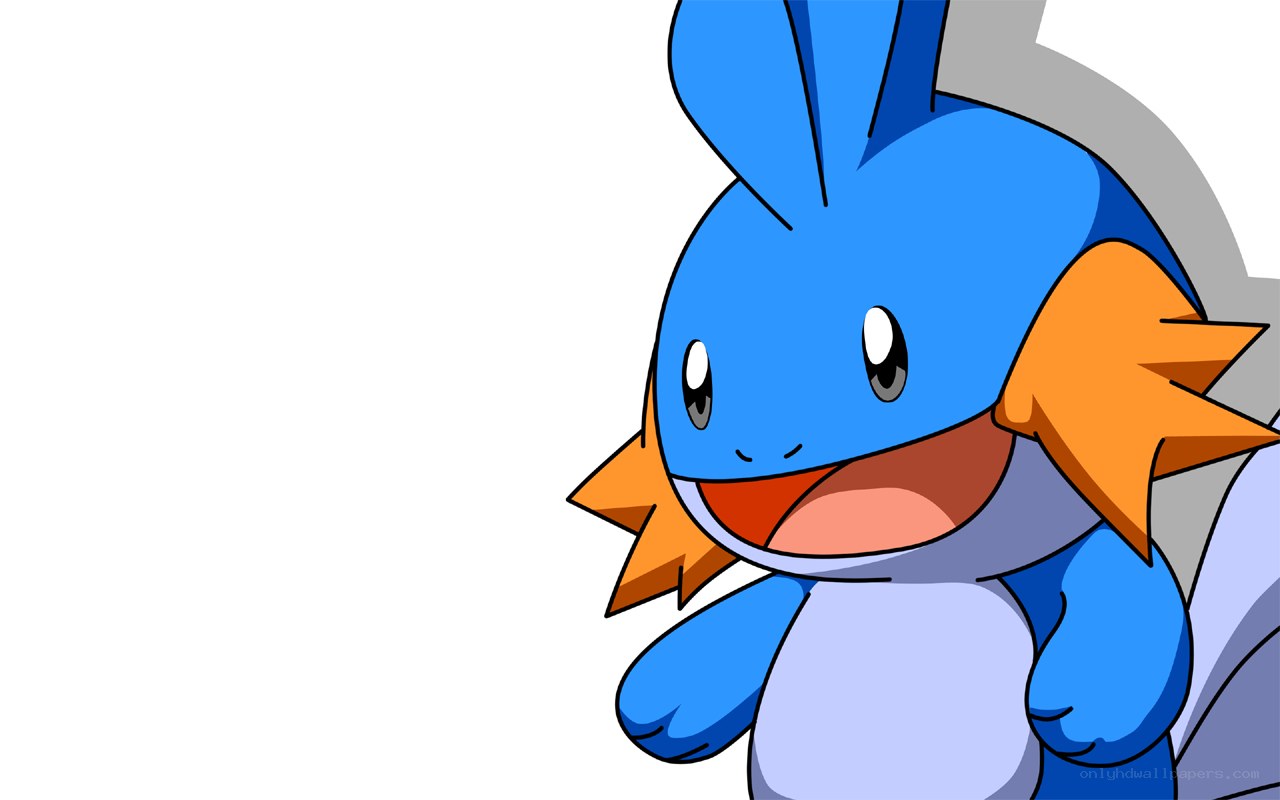 Mudkip from Pokémon