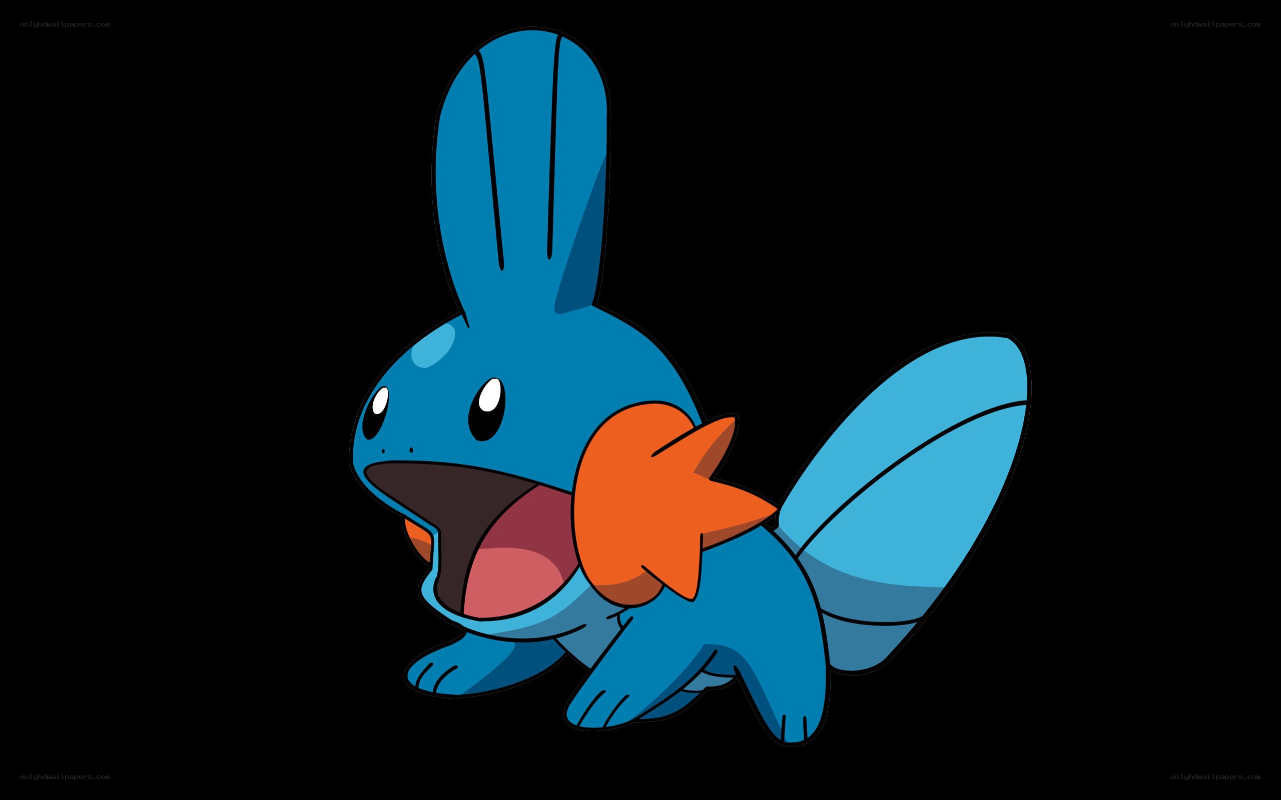 Mudkip from Pokémon