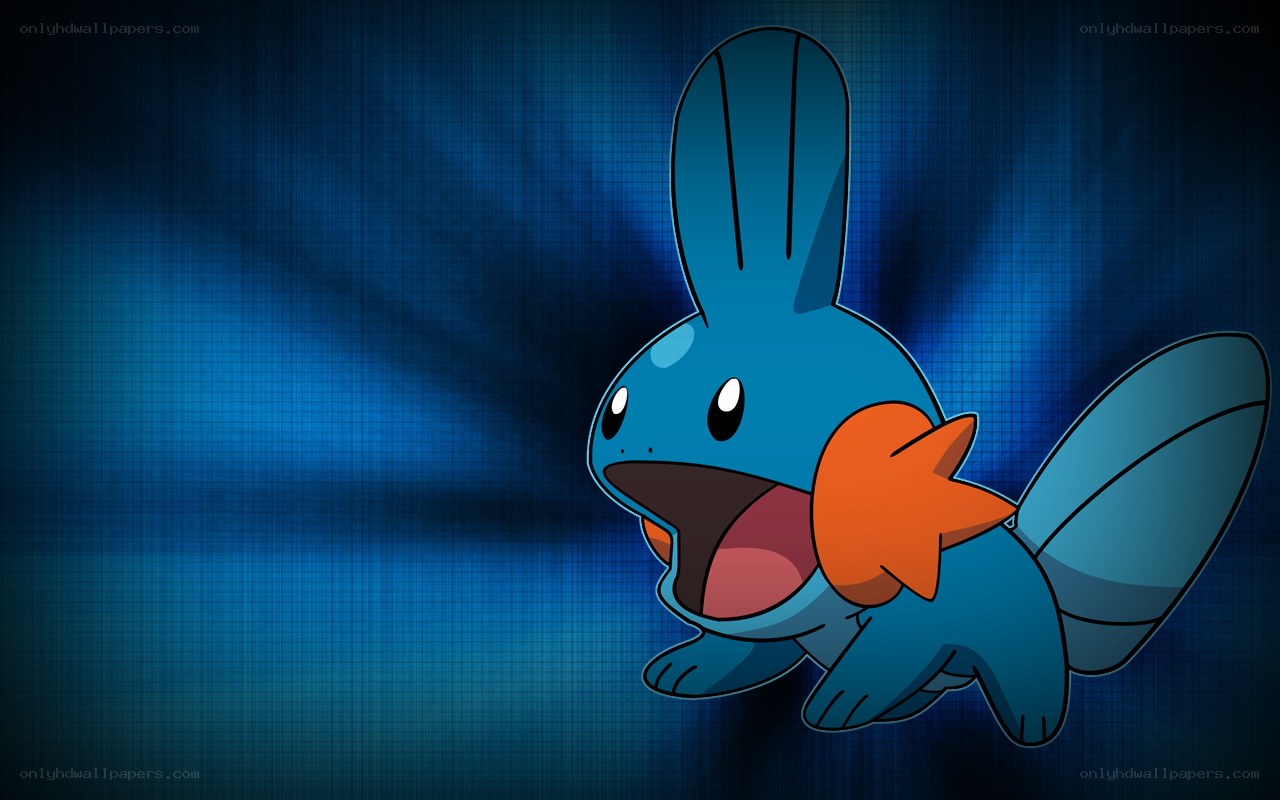 Mudkip from Pokémon