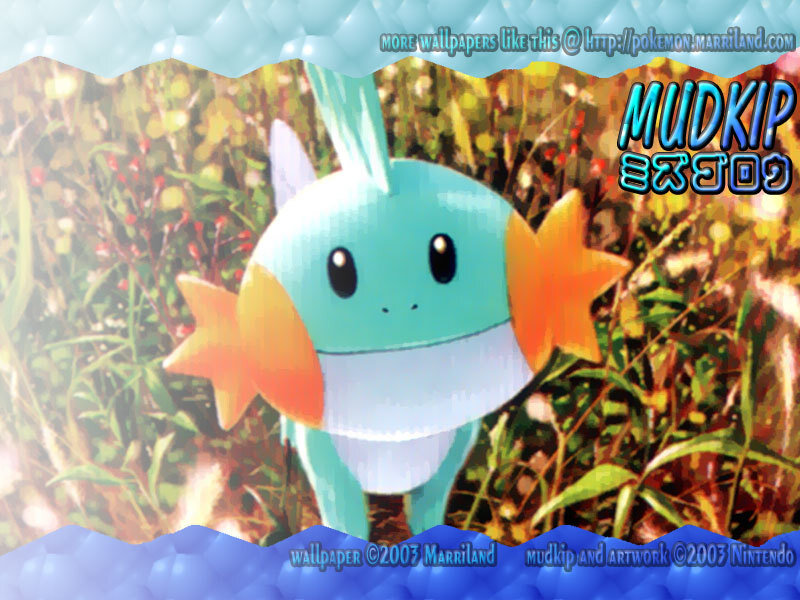 Mudkip in a field