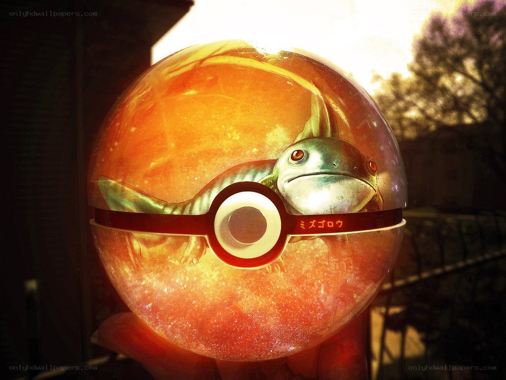 Mudkip in a Poké Ball