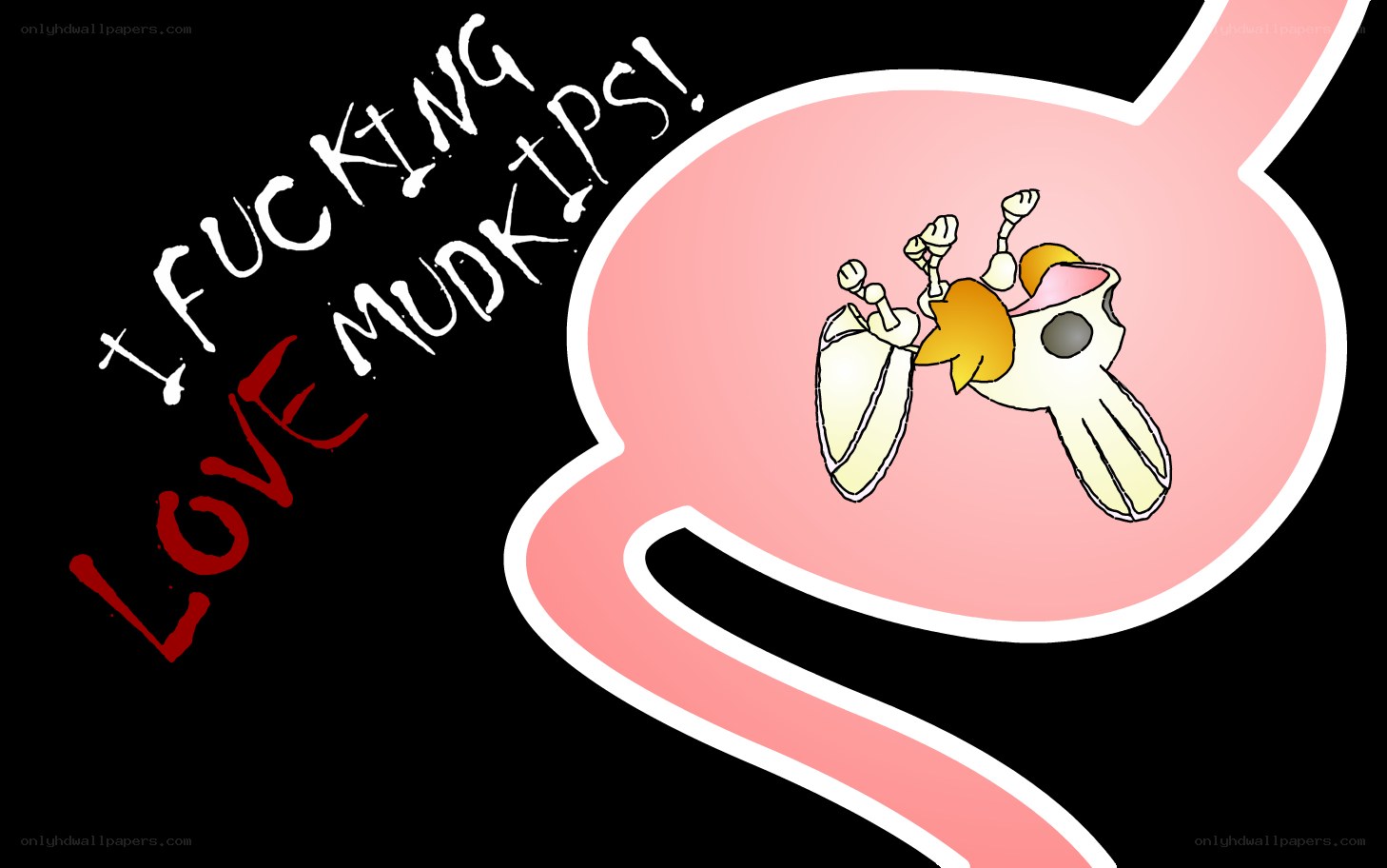 Mudkip in stomach