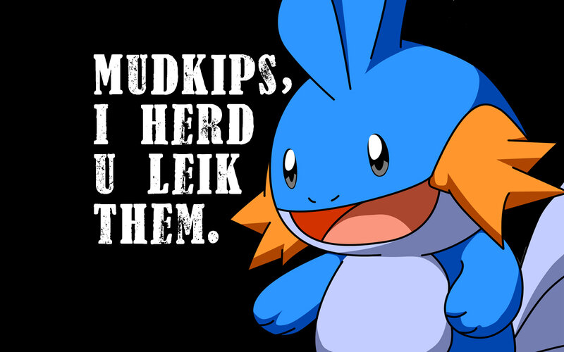 Mudkip meme with text
