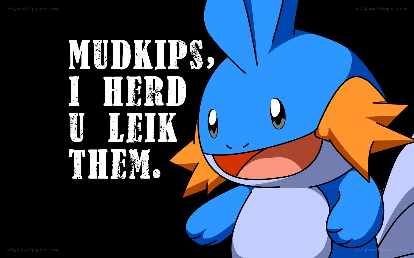 Mudkip meme with text
