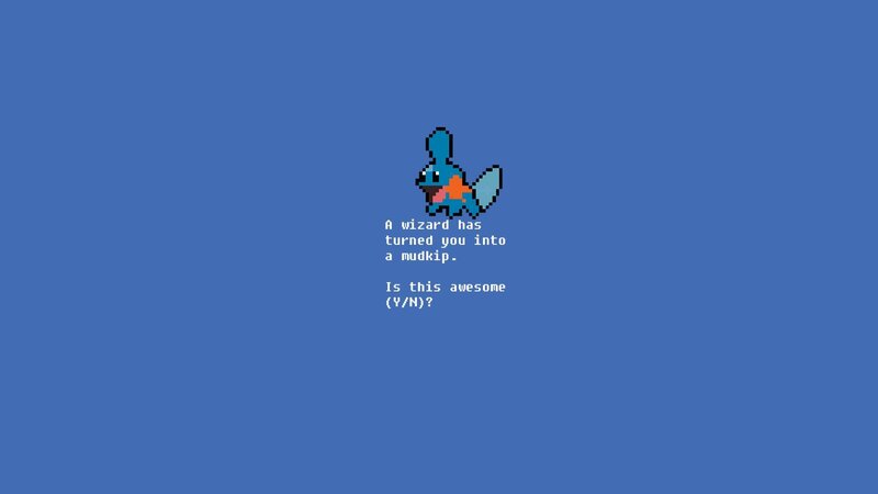 Mudkip transformation screen