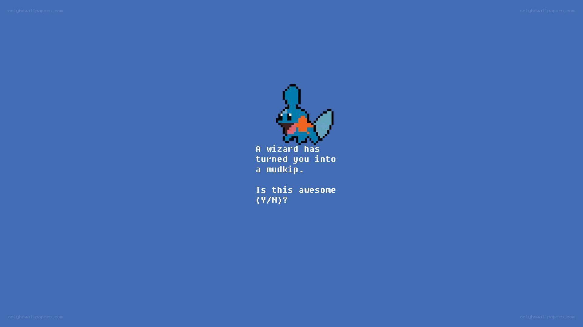 Mudkip transformation screen