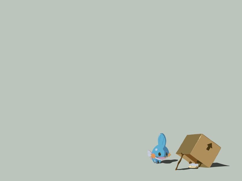 Mudkip with a box