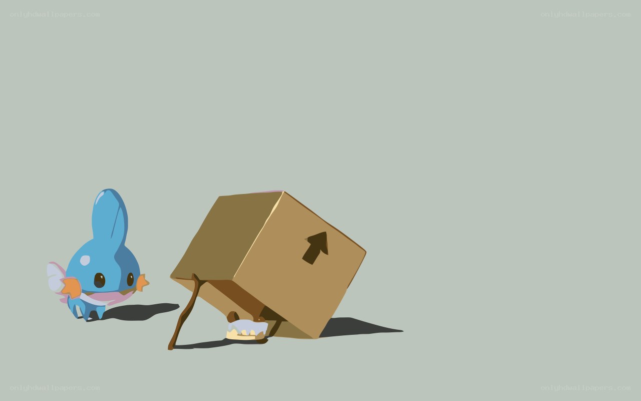 Mudkip with a box