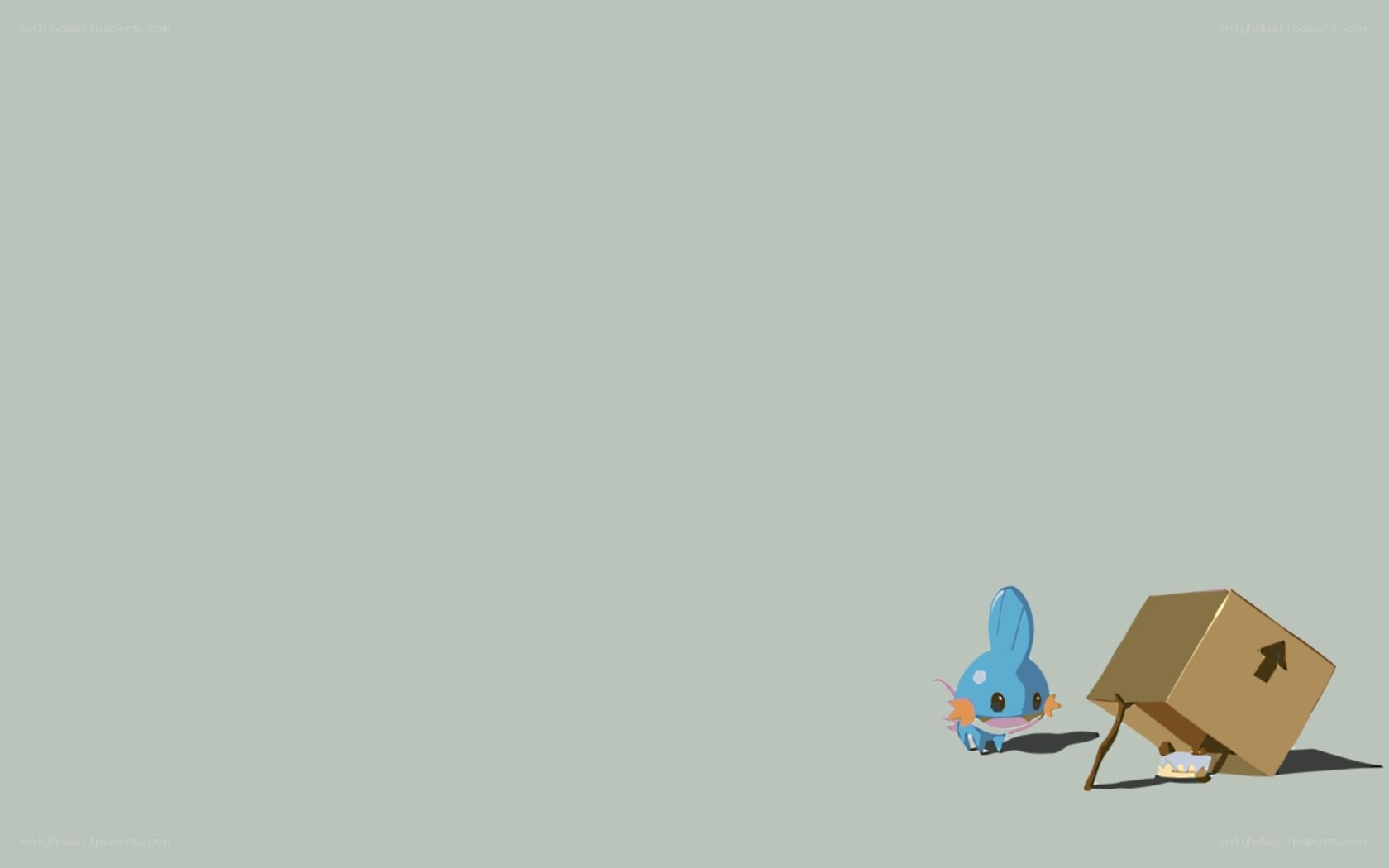 Mudkip with a cardboard box