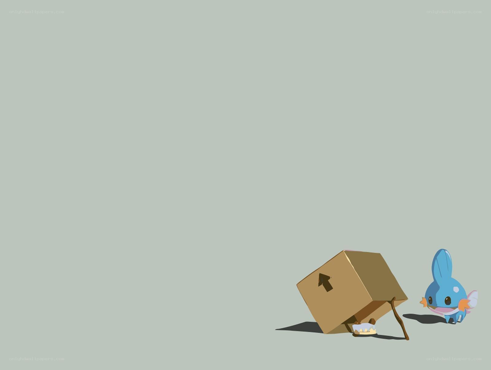 Mudkip with a cardboard box