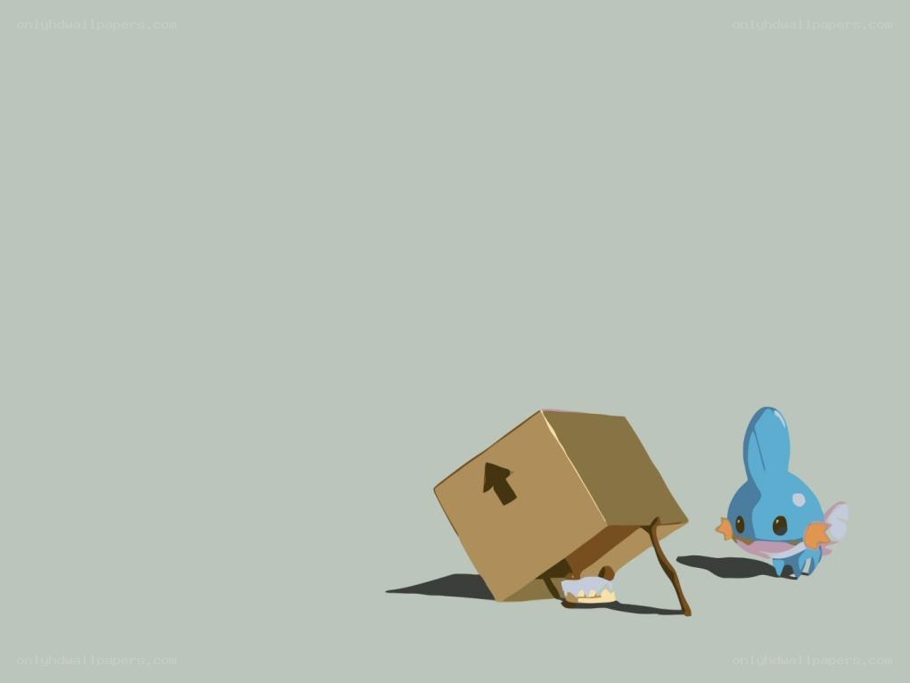 Mudkip with a cardboard box