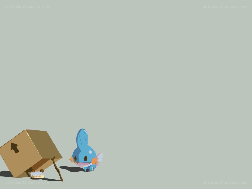 Mudkip with a cardboard box