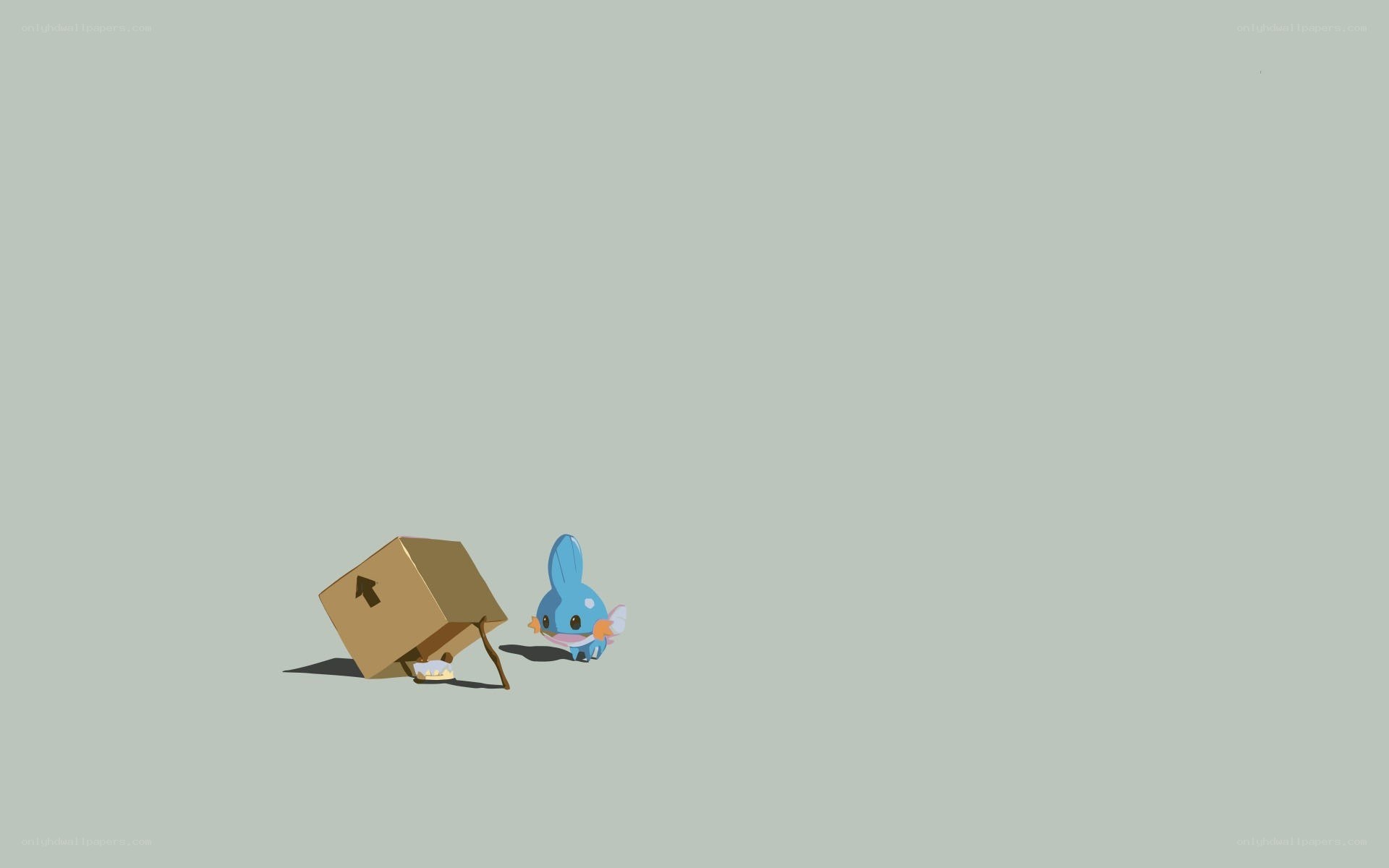 Mudkip with a cardboard box