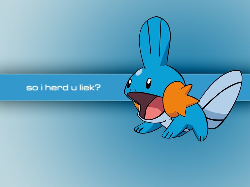 Mudkip with text