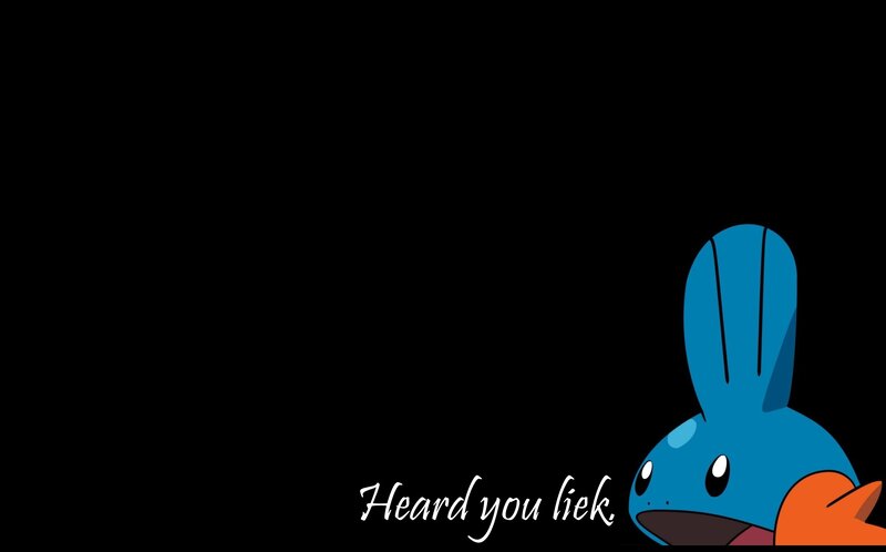 Mudkip with text