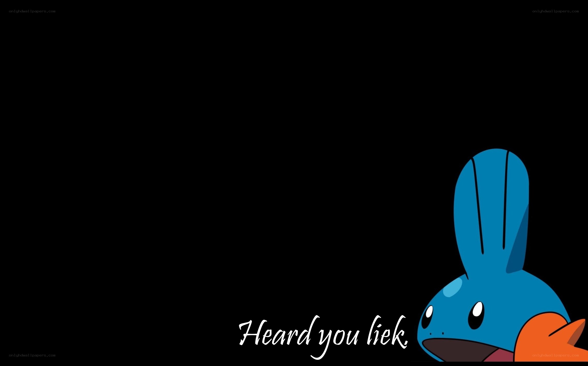 Mudkip with text