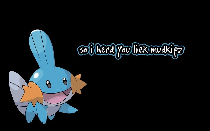 Mudkip with text