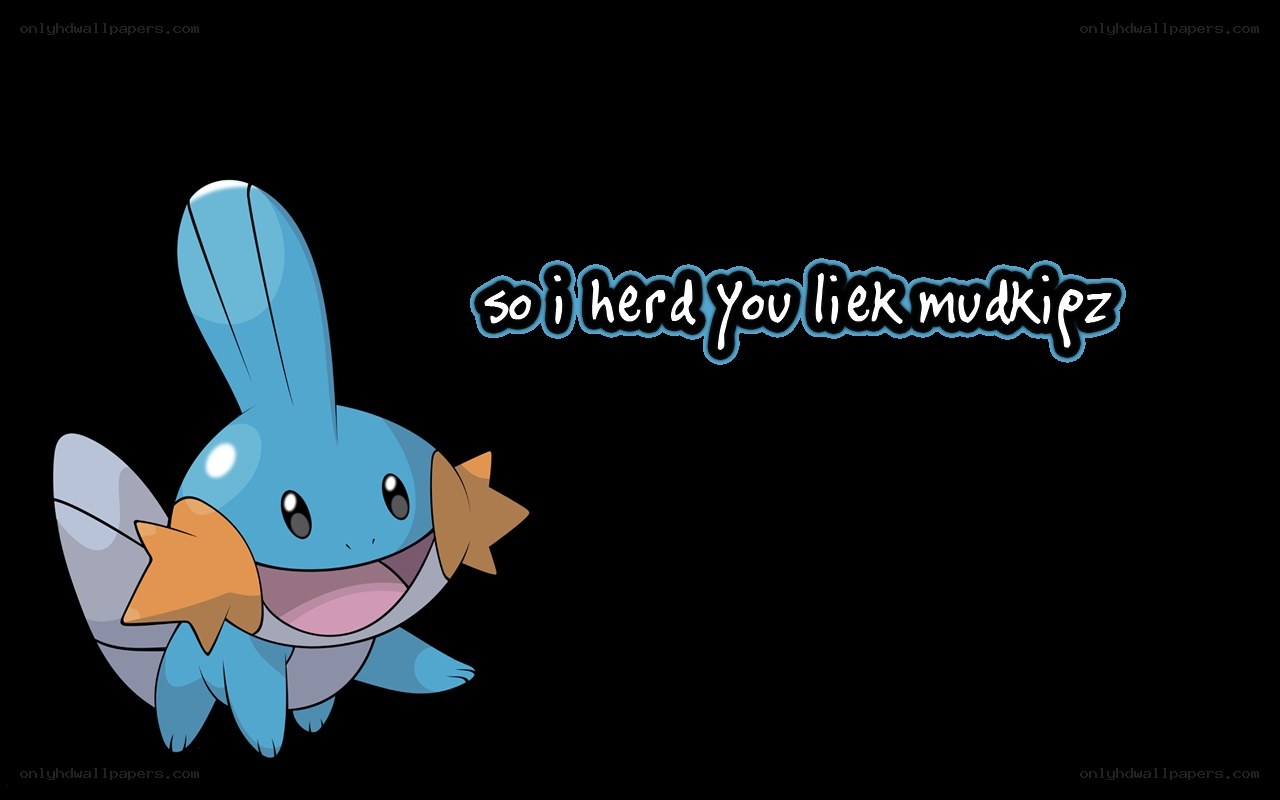 Mudkip with text