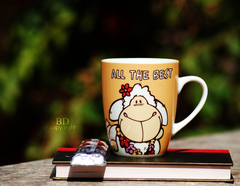 Mug with Sheep Design