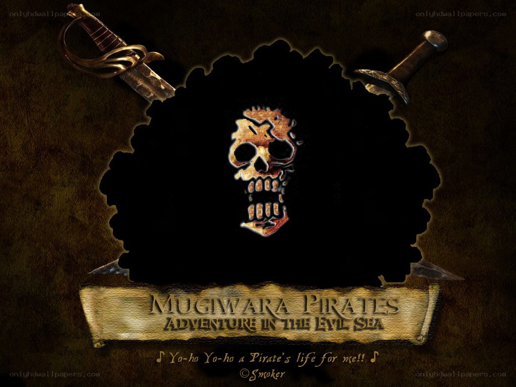 Mugiwara Pirates Adventure