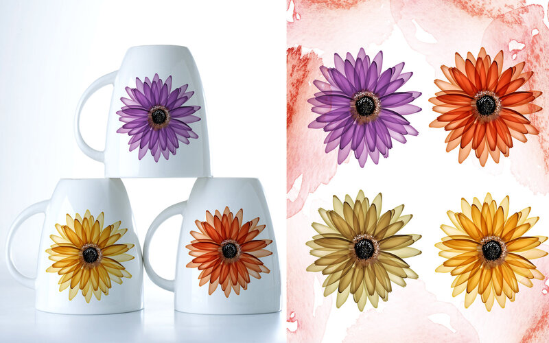 Mugs with Flower Designs