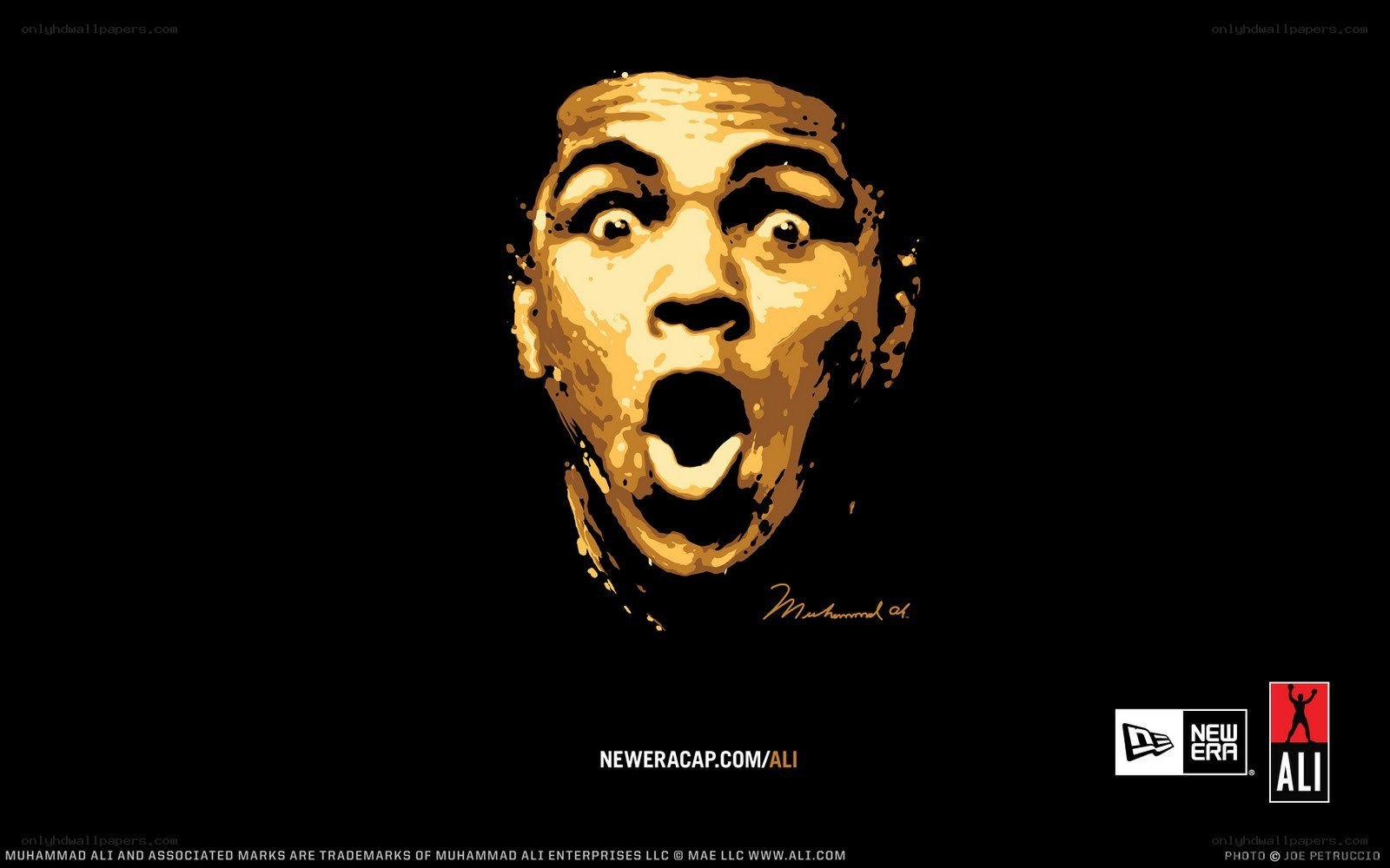 Muhammad Ali portrait art