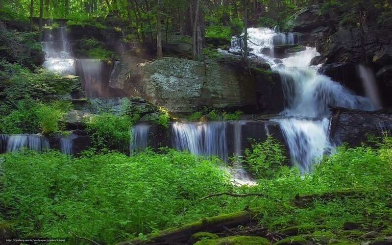 Multi-tiered Waterfall — Green, Serene, Afternoon, Photograph, Forest, Rocks, Plants, White, Brown