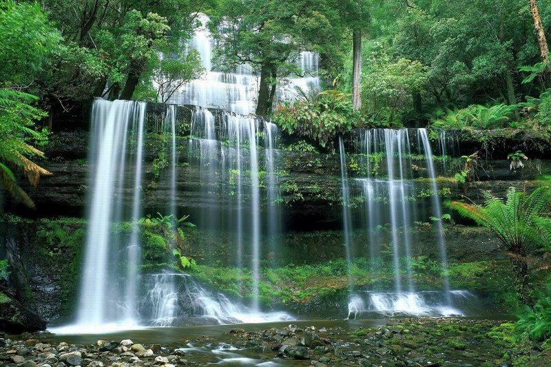 Multi-tiered Waterfall — Green, Serene, Afternoon, Photograph, Forest, Trees