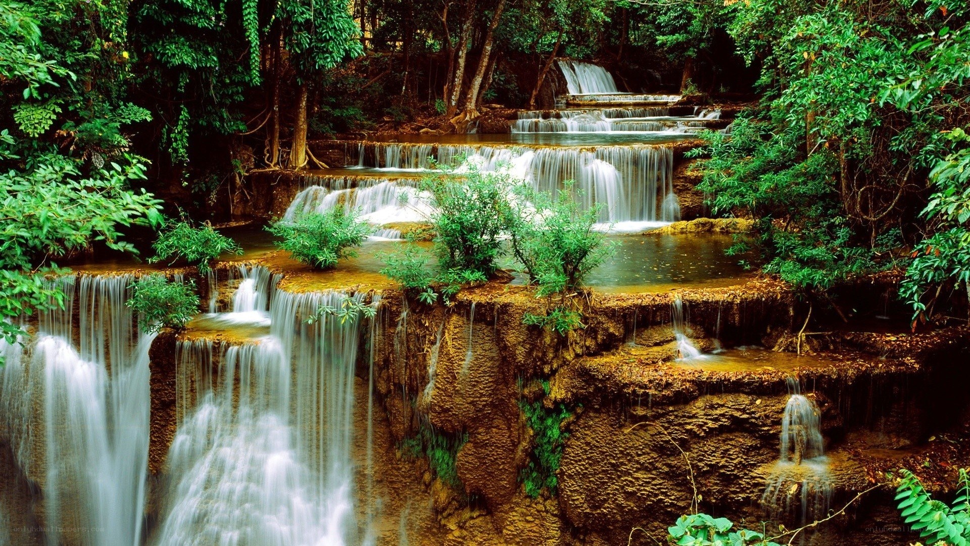 Multi-tiered waterfall in forest