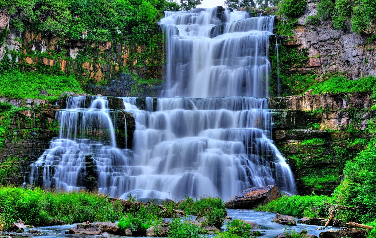 Multi-tiered waterfall in forest