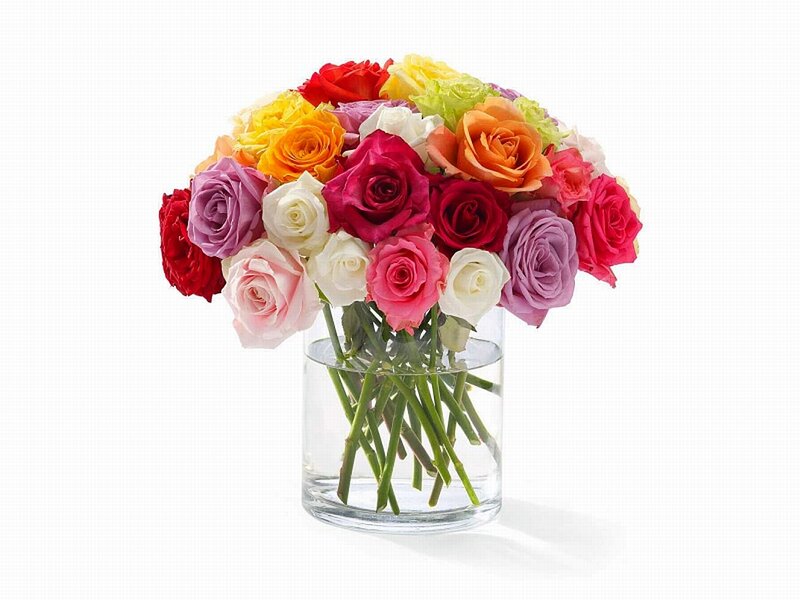 Multicolored Roses in Vase