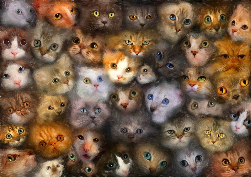 Multiple Cat Faces