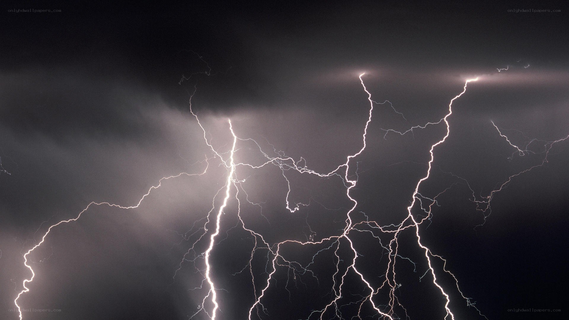 Multiple lightning strikes at night
