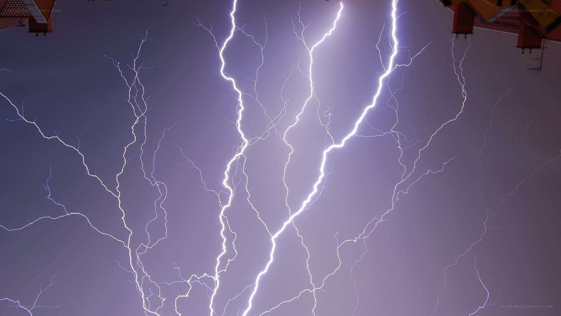 Multiple lightning strikes at night